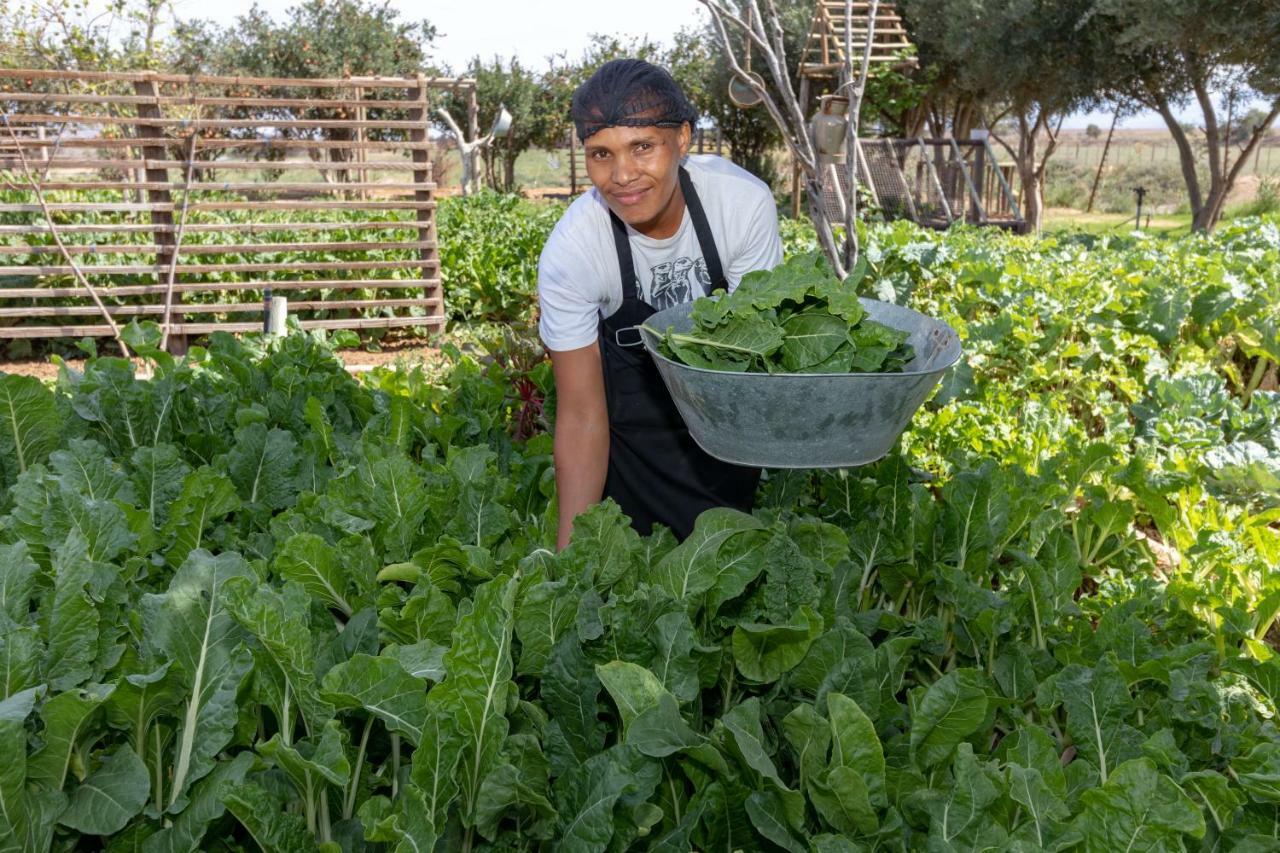 הוילה אאודטסהורן De Zeekoe Guest Farm מראה חיצוני תמונה